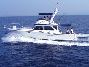 Top 10 Best Fishing Boat Manufacturers & Suppliers in Mexico
